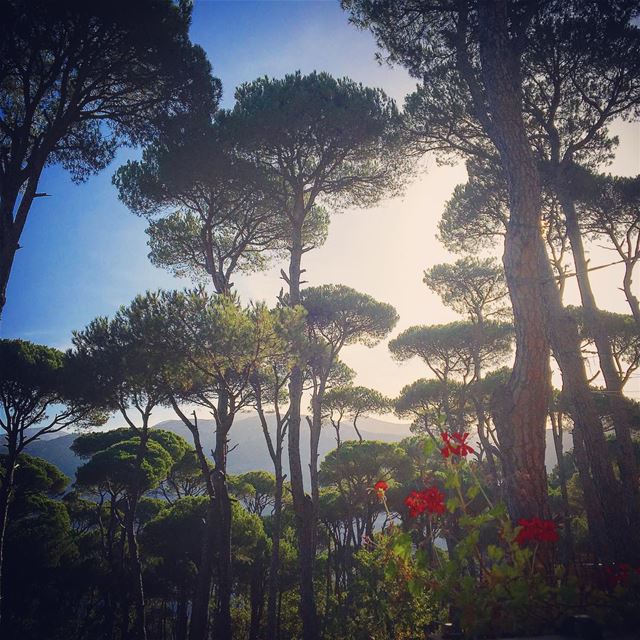 Throwback Memories Exploring Lebanon (Bkasin - Jezzine)