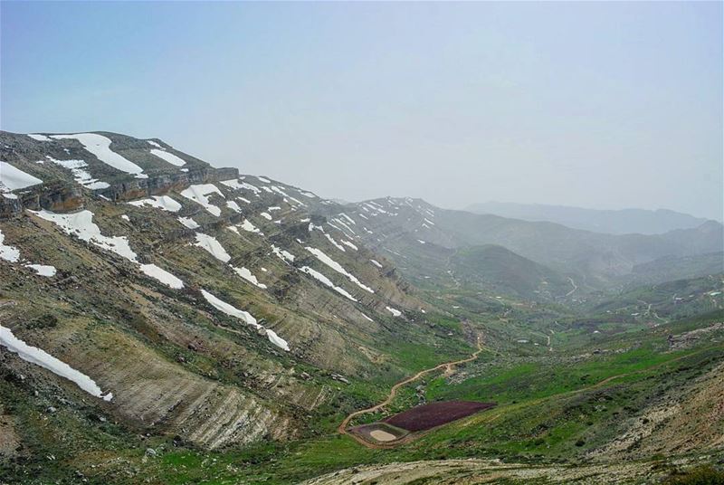 Throwback to jroud tannourine! My favorite of all! 🖤🖤🖤  loves_lebanon ... (Jord Tannoûrîne)