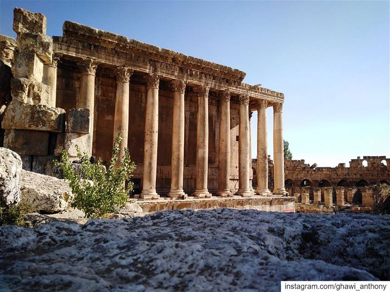 Throwback to the most beautiful place we can visit in Lebanon🇱🇧🏛... (Baalbek , Roman Temple , Lebanon)