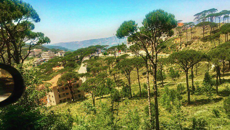 Thursday🍃🌞 beauty  nature  pines  greenery  garden  gathering  friends ... (Btekhnay)