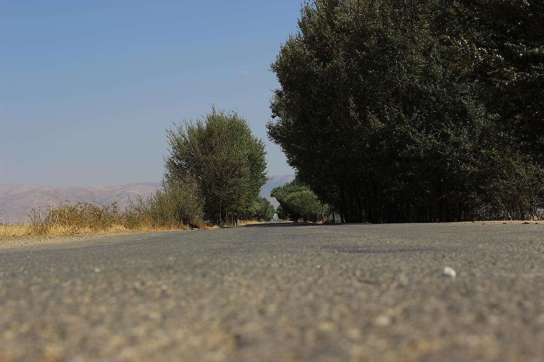 Till the end   road  horizon  bekaa  landscape  livelovelebanon ... (`Ammiq, Béqaa, Lebanon)