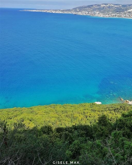 Time for some seahabilitation.  sea  seaview  ocean  shadesofblue  green ... (Lebanon)