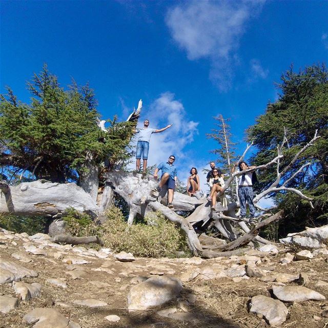 Time is precious...waste it wisely 🤡  Roythegodofthesun  luckyus 🙃... (Al Shouf Cedar Nature Reserve)