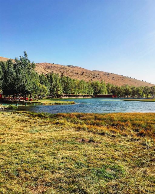 Time to relax.. refresh .. recharge 🍃 lebanon  naturephotography  trees ... (مطعم الزين - عيون ارغش)