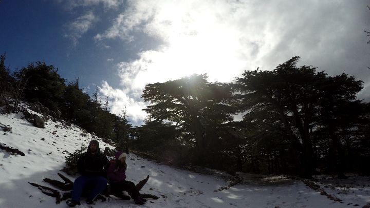  TimeLapse  MovingClouds  Barouk  Cedars  Lebanon ☁️🌲❄️...