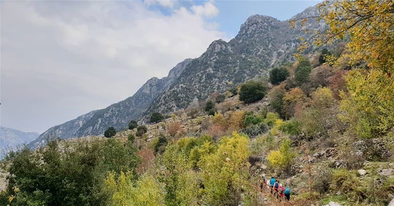 Tiny humans in a sea of colours 🍂🍃  mountaineering  choosemountains ... (Jabal Moûssi)