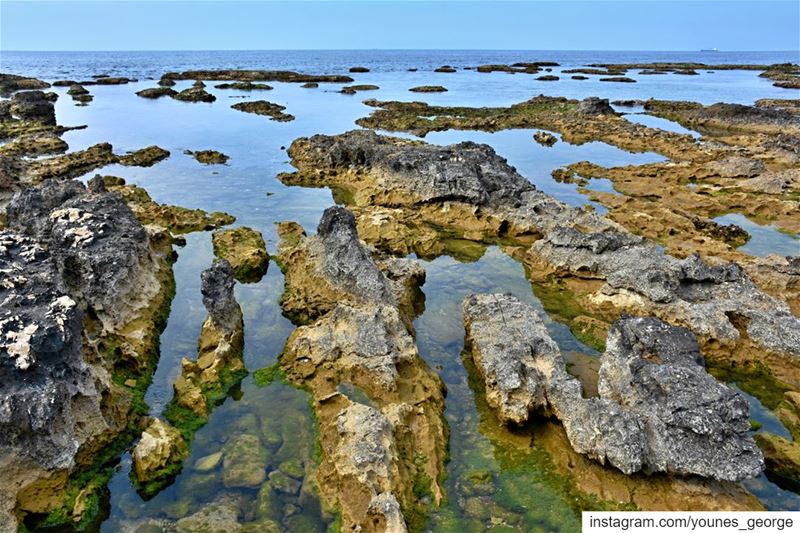 Tiny Ships on a Vast HorizonSee more of my pictures at: https://georgesyo (El Berbâra, Mont-Liban, Lebanon)