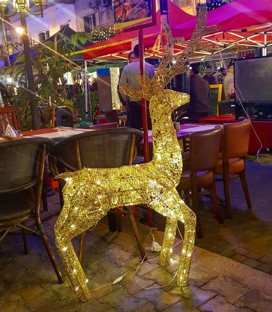 Tis the 🦌 season ........ Lebanon  Beirut  christmas ... (Badaro the Street)