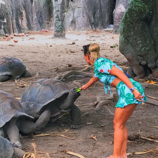 To  diet or to  train ? The amount of information out in the  wild is nuts... (La Digue, Grand Anse, Seychelles)