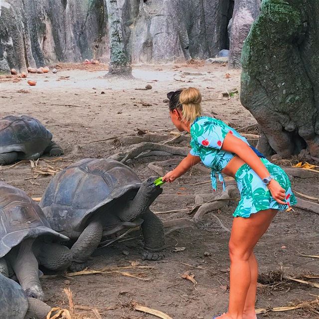 To  diet or to  train ? The amount of information out in the  wild is nuts... (La Digue, Grand Anse, Seychelles)