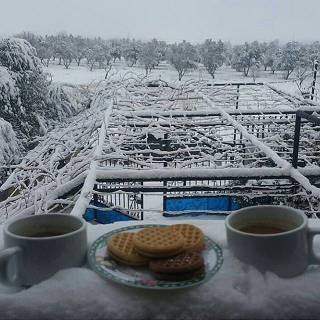 To everything there is a season and a time to every purpose under the Heavens!!!! (Beirut Lebanon - لبنان.بيروت)