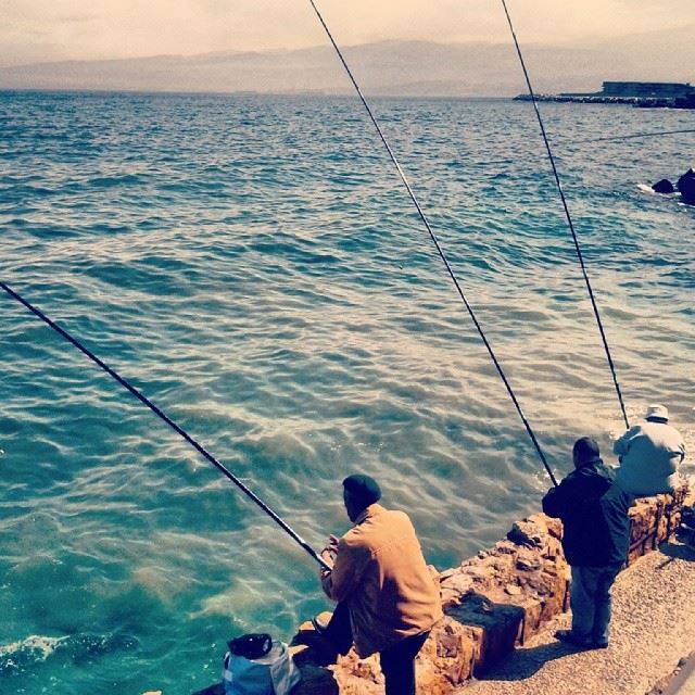 "To fish or not to fish", Manara, Beirut. Wearelebanon  Beirut  Beyrouth...
