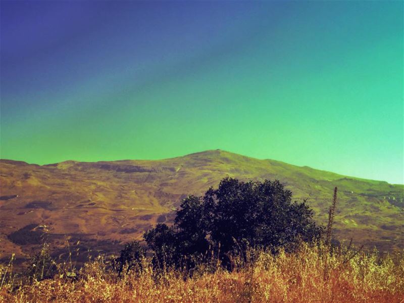 To hover there forever  mountain  tree  landscape  sky  mountainlover ...