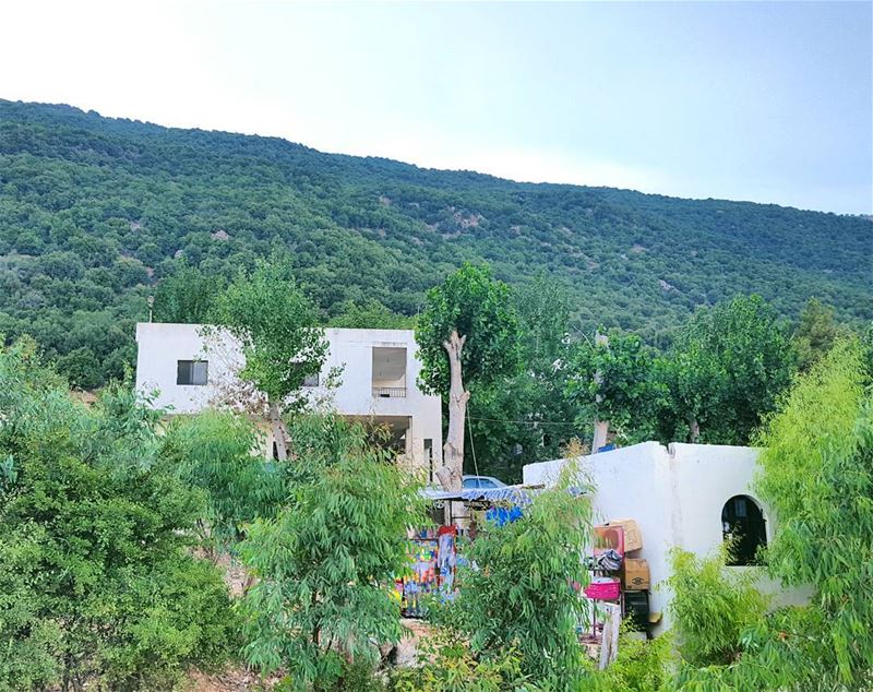 To me this is a 5 star  life!  freedom  Luxury  LiveLoveLebanon ...