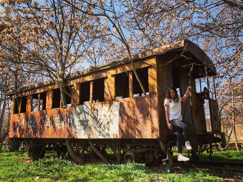 To neverland.............. train  destination  old ... (Riyaq, Béqaa, Lebanon)