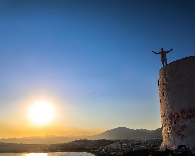 To settle is to die like a tree 🌲  freedom  travel  bodrum  turkey ...