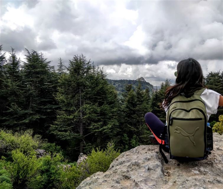 To sit in solitude, to think in solitude, with only the cedars to break...