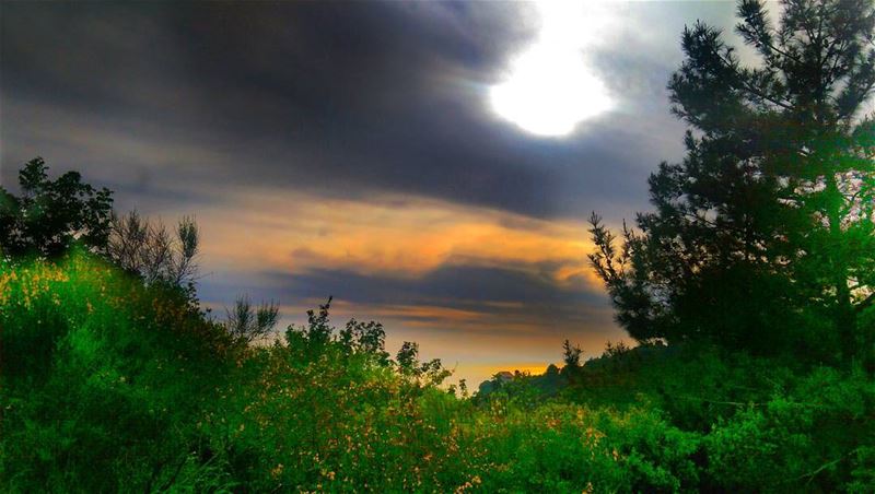 To sit in the shade on a fine day, and look upon verdure is the most... (Harîssa, Mont-Liban, Lebanon)