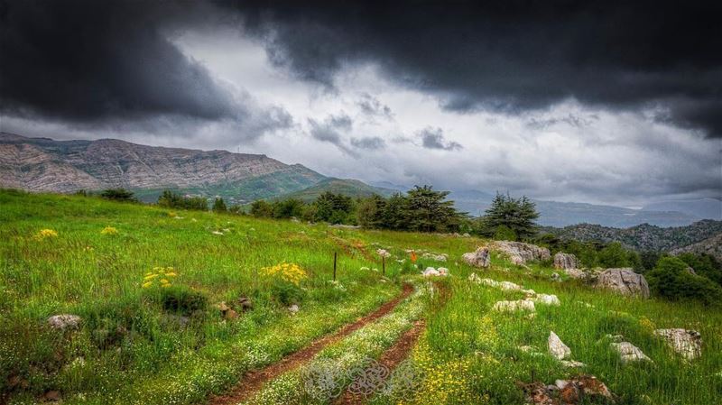 To Wherever the road might take you... Ramadan karim Globalcapture ... (Tannourine)