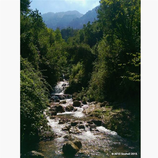  today  akkar  amazing  hiking  valley  river  mountains  forest  green ... (وادي جهنم)