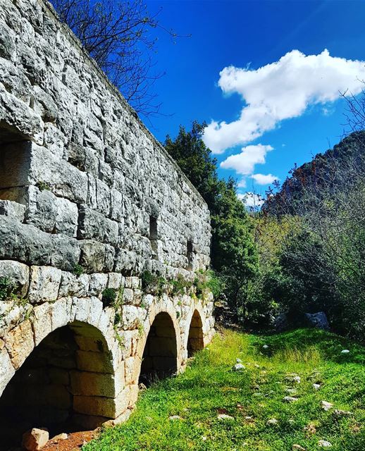 Today I'm happy because I don't have any reason not to be👀 Have a... (Kfardebian,Mount Lebanon,Lebanon)
