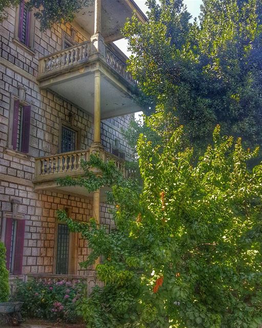 Today in Alley 💚💚💚▪▪▪▪▪▪▪▪▪▪▪▪▪▪▪▪▪▪▪▪▪ lebanonhouses  ptk_lebanon ... (Alley, Mont-Liban, Lebanon)