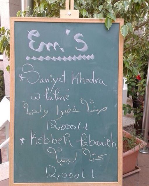 Today's Teaser Menu: صنية خضرا و لحمة and كبة لبنية. Give us a call ☎️ 03... (Em's cuisine)