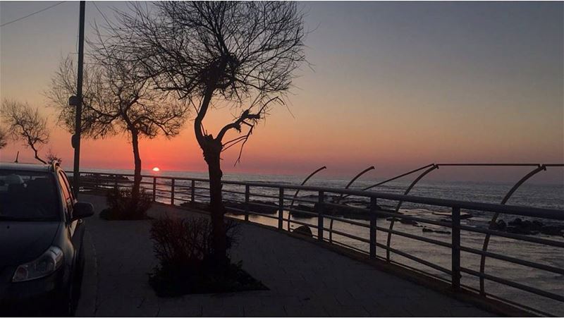  today sunset sour tyre water red blue sea sun trees colorful beautiful... (Al Kharab Beach)