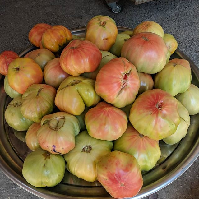  tomato  food  instafood  eat  yummy  delicious  ehden   lebanon  lebanese... (Tourza, Liban-Nord, Lebanon)