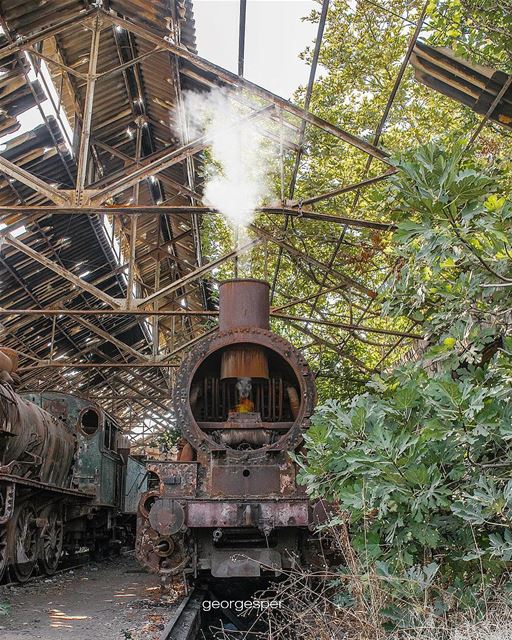 🚂TooT TooT 🚂.... proudlylebanese  beautifullebanon  livelovebeirut ... (Tripoli, Lebanon)