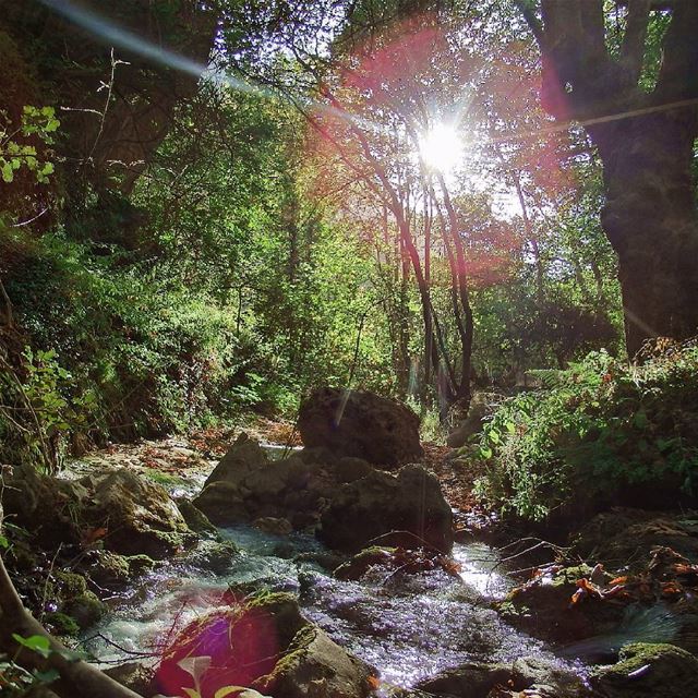 Touch of  nature.  insta_lebanon  ig_lebanon  proudlylebanese ... (Tannourine El Tahta)