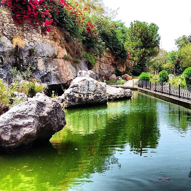 Touring  jounieh  artificial  water pond summertime  rocks flowers...