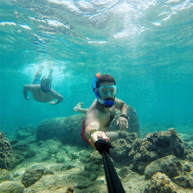 Touring underwater... (Al Jamal Tyr)
