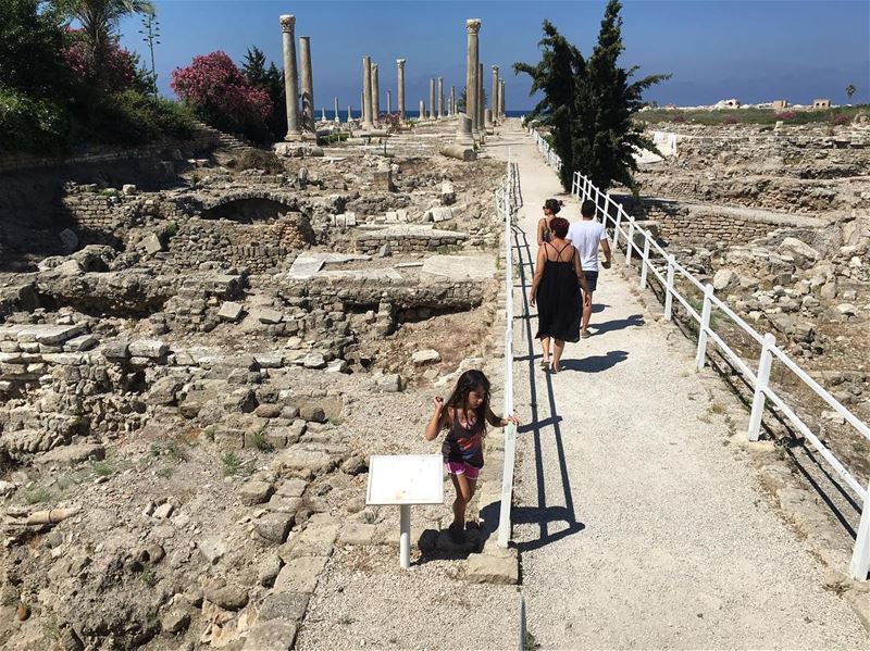 Touristic Visit  ruins  citadel  tyre ...