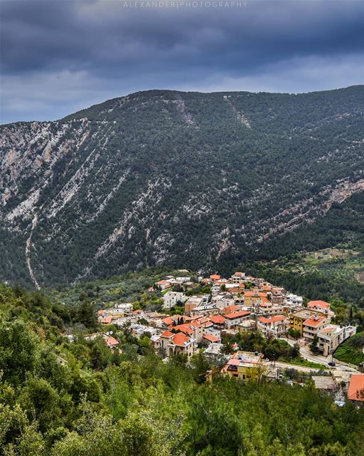 Tourza. A traditional Lebanese village located beneath the green mountains... (Tourza, Liban-Nord, Lebanon)