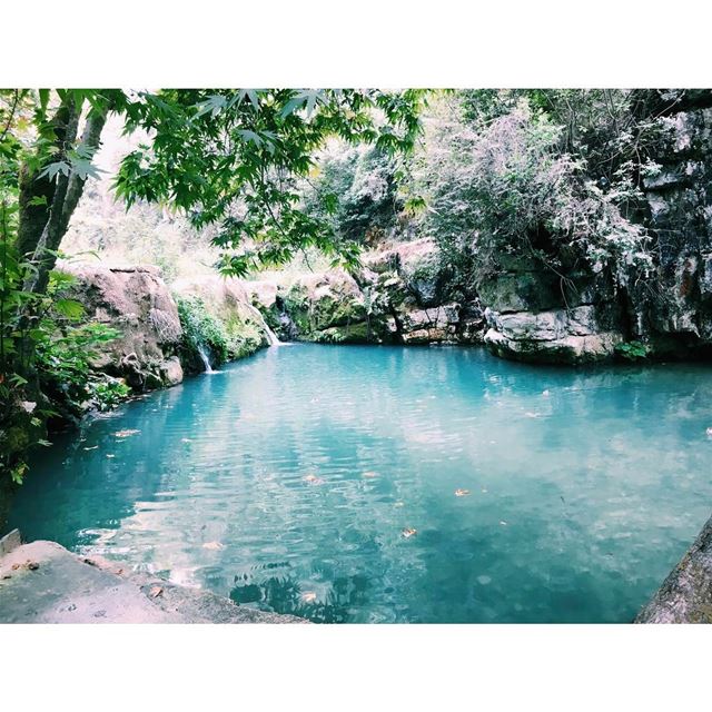 Tout ce que j'aime (Baakline, Mont-Liban, Lebanon)