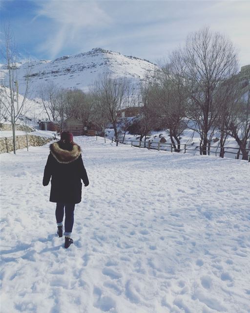 Tout est cotonneux. ❄️🎶. HiverLibanais  Winter  ColdDays ... (Faraya, Mont-Liban, Lebanon)