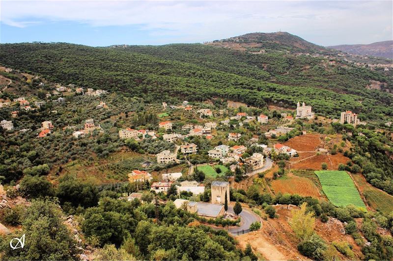  town  forest  tree  trees  pinetrees  village  nature  landscape  view ... (Jezzîne, Al Janub, Lebanon)