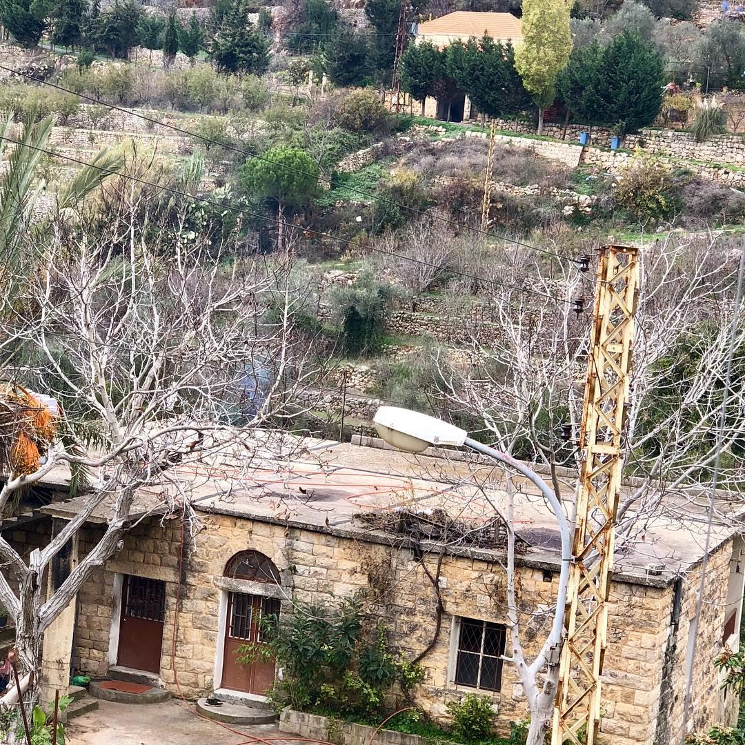 Traditional homes in the area were always built with flat rooftops where... (Dayr Al Qamar, Mont-Liban, Lebanon)