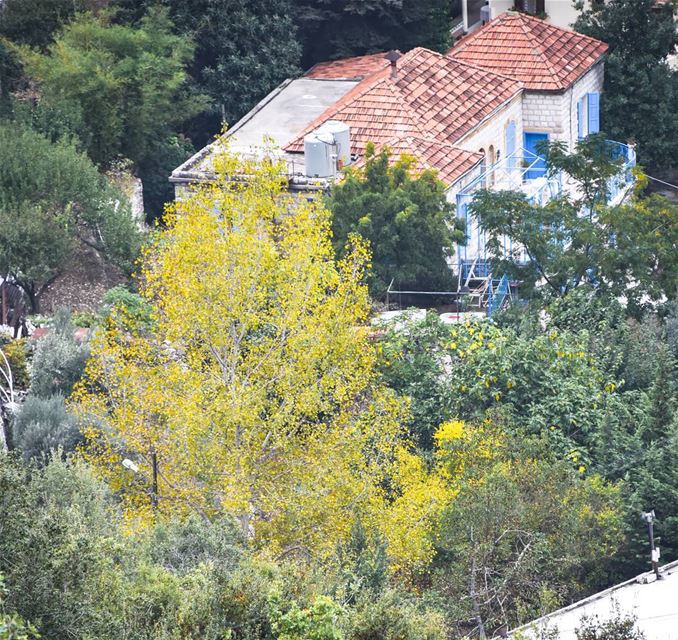 Traditional house with a garden in  fall lebanon  traditionalhouses ... (`Aramoun, Mont-Liban, Lebanon)