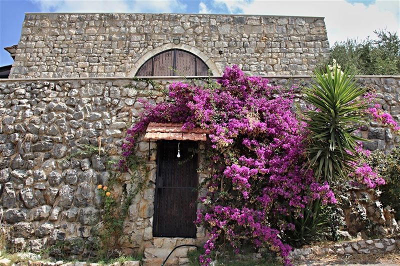 Traditional stone country house in the mountains of Lebanon [Notice how... (Lebanon)