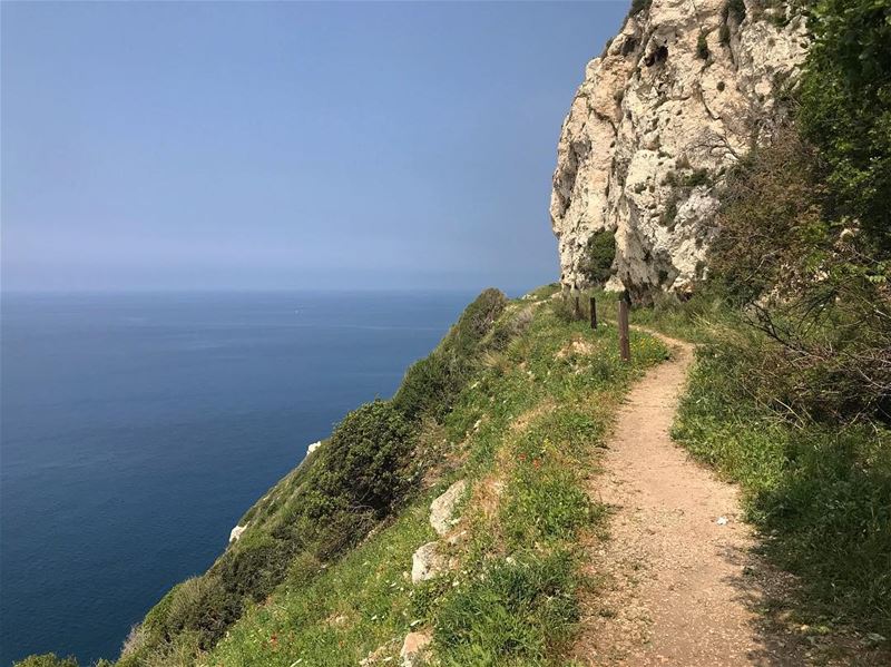 Trail‼️.............. lebanon  nature  landscape  forest ... (Chekka)