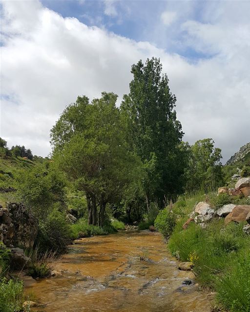  trailslife  hiking  mountains  mylebanon  river  summer  tannourine ...