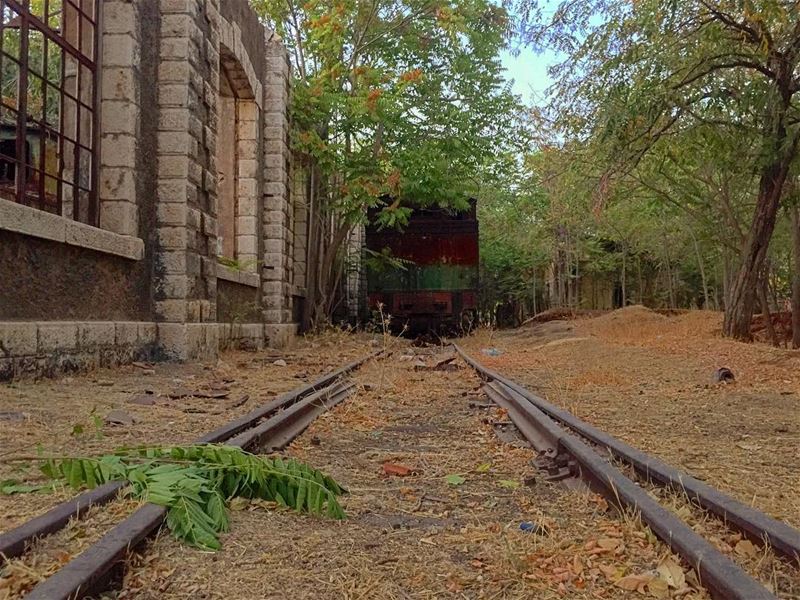🏚🚊🌳. train  rail  trainstation  greenery  fall  old  rust  riyaq ... (Riyaq, Béqaa, Lebanon)