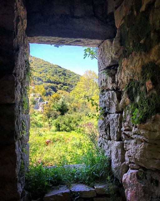 Train yourself to let go of everything you fear to lose mylebanon ... (Kaftoûn, Liban-Nord, Lebanon)