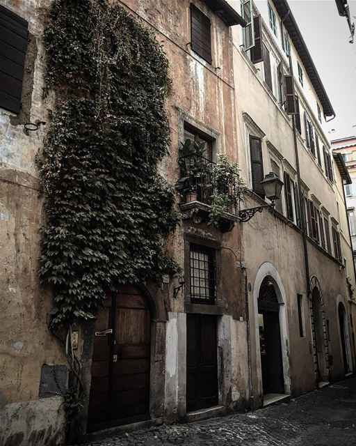  travelphotography  travelgram  leo  love  soul  mybeirut  myquotes ... (Trastevere Roma, Italia)