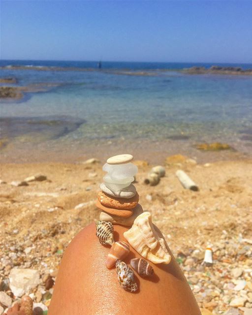 Treasures 🐚🐚 seashells  sea  treasures  seashore  rocks ... (Al-Fanar restaurant and auberge)