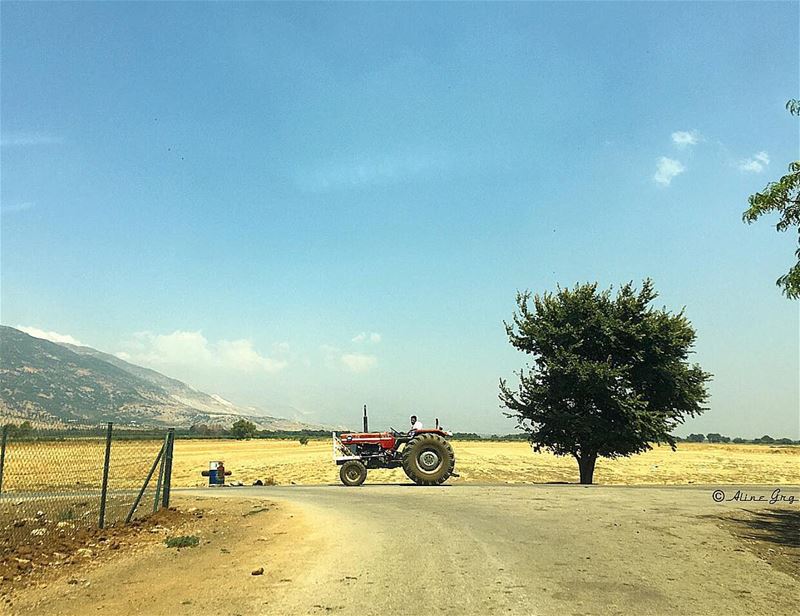 🚜🌳 tree  bekaa  valley  outdoor  nature  tractor  roads  life  bluesky ... (محمية عمّيق)