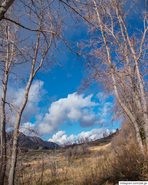 Tree frame. clouds  cloud  mountains  landscapephotography  landscape ... (Lebanon)