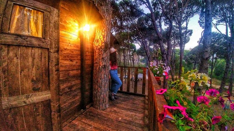 TREE HOUSE and DREAMS 🌳✨........ insta_lebanon  lebstory ...